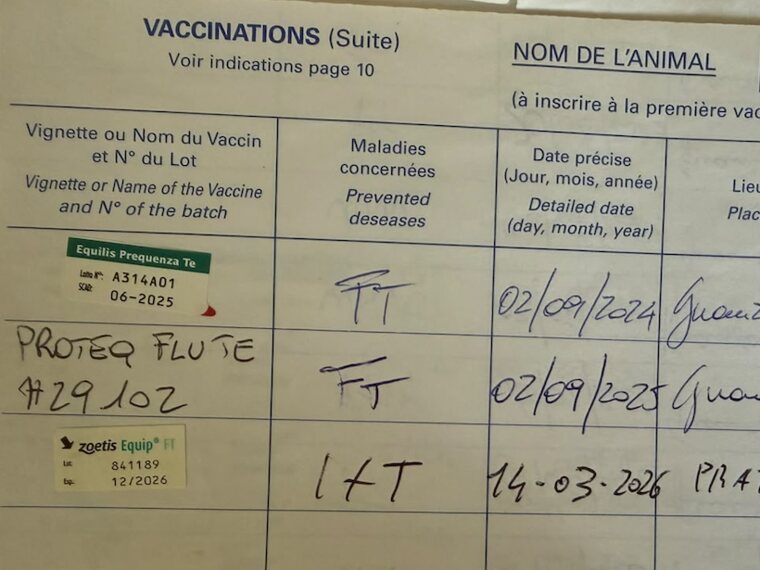 Una pagina vaccinale di passaporto, compilata a mano
